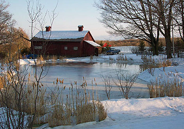Portable pond shaped rink in April 2004 for film set